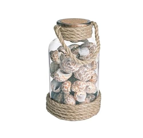 Bizzotto Bottiglia Con Conchiglie Rope 505G Art. 0209570