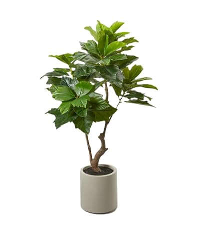 Edg Pianta Artificiale Ficus Sycomorus Con Vaso H170Cm