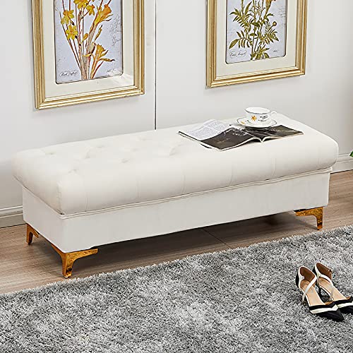 Dgdhhsfjdj Panca Contenitore In Velluto Di Alta Qualità - Pouf Moderno Imbottito Per Soggiorno, Camera Da Letto E Corridoio - Panca Portascarpe Multif