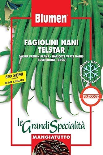 Semi Di Fagiolini Nani Telstar Borsa Maxi