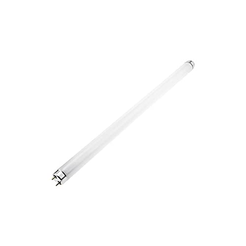 Kasart Lampada Neon 20W T8 G13 Bianco Freddo 20Watt 230V Ac 1 Pezzo