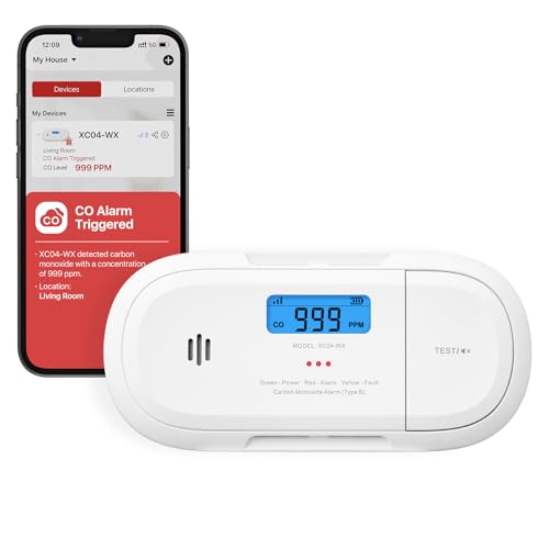 X-Sense Wi-Fi Rilevatore Di Monossido Di Carbonio, Notifiche In Tempo Reale Tramite App X-Sense Home Security, Batteria Sostituibile, Design Autoporta
