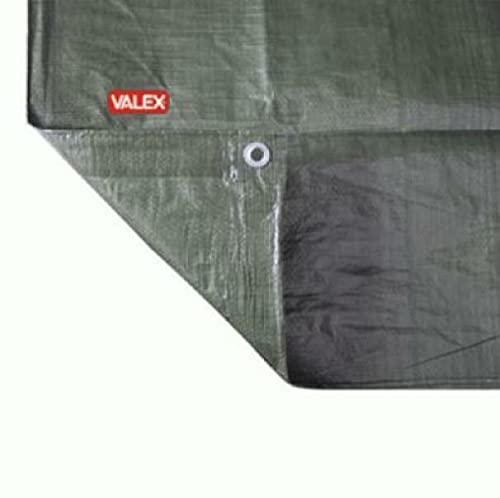 Telo Con Occhielli Medio 90Gr/Mq 8X10 Metri Valex