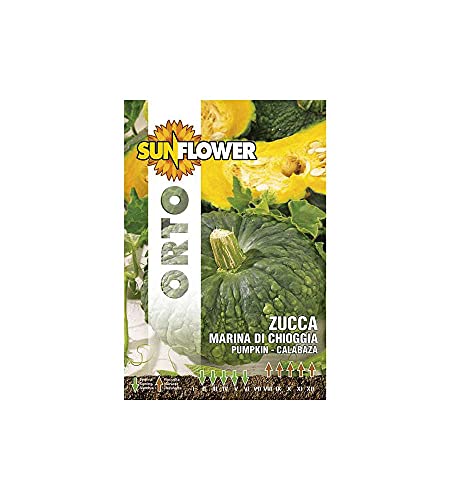 Sementi Zucca Marina Di Chioggia Sunflower (Cf 20)