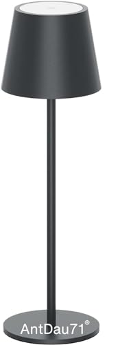 Antdau71 - Lampada Da Tavolo Touch Senza Fili Ricaricabile Usb, Alluminio Satinato Abatjour Per Camera Da Letto Comodino Bar Ristoranti Hotel Ufficio,