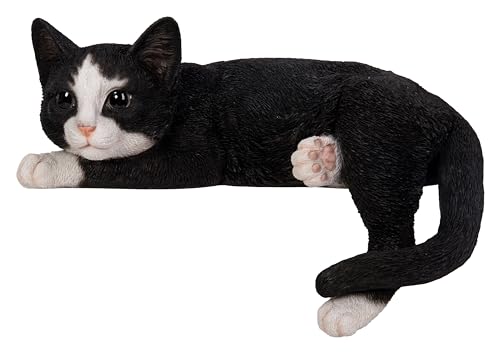 Vivid Arts - Gatto Posa Bianco E Nero - Xrl-Dc69-D