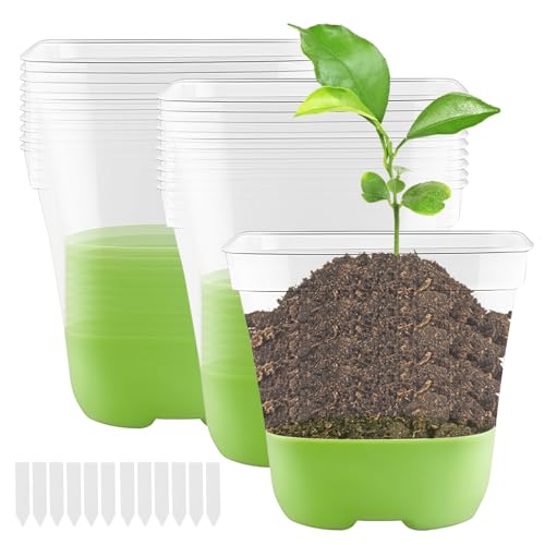 Sporgo 12 Vasi Da Coltivazione: Vasi Trasparenti Per Orchidee Con Base In Silicone Ed Etichetta, Riutilizzabili In Plastica, Con Foro Di Drenaggio Per