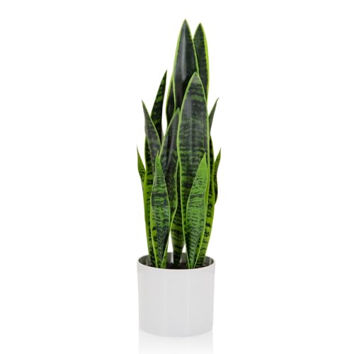 Hjh Office 871016 Pianta Artificiale Sansevieria Con Fioriera Altezza 65 Cm Pianta D'Appartamento Artificiale Arco Di Canapa