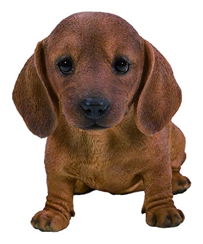 Vivid Arts - Decorazione Per Cuccioli Di Bassotto Marrone (Pp-Dchb-F)