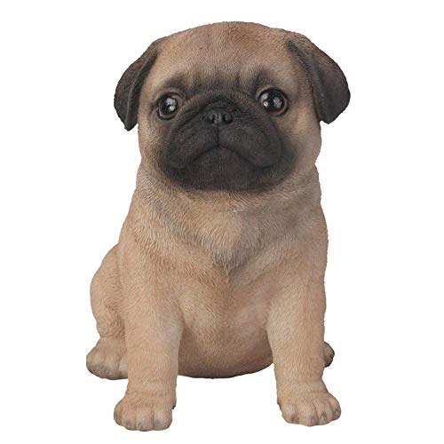 Vivid Arts - Pug Puppy Pet Pal, Marrone Con Accenti Neri