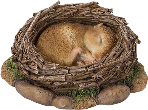 Vivid Arts Real Life Nf-Dm09-F - Decorazione Ornamentale In Resina Per Dormitorio Del Bosco Addormentato Nel Nido