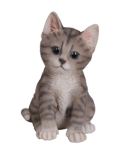 Vivid Arts - Tabby Per Animali Domestici, Motivo: Gattino