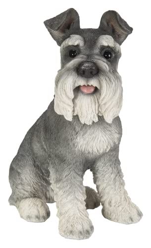 Vivid Arts (Schnauzer In Miniatura Seduto