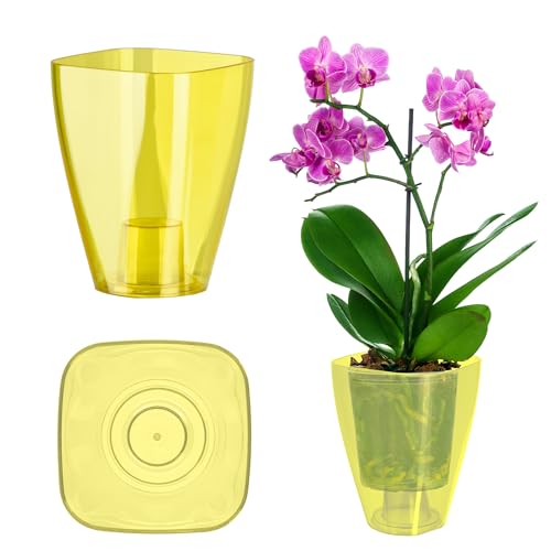 Kadax Flowerpot, Slim Orchid Pot, Semplice Fioriera, Secchio Di Fiori Per Orchidea, Erba Da Ragazzo, Margherite, Trama Per Cucina E Soggiorno (⌀ 9 Cm,