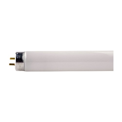 Ge Lighting T8 Polylux Xlr – Lampara Polylux Xlr Ft8/18 W/860/Ge/Sl1/25