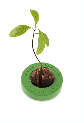 R&R Shop Avocado Germinator- Vaso Galleggiante Per Germinazione Avocado, Kit Per La Crescita Seme, Plastica Di Mais 100% (Verde)