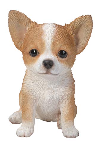 Vivid Arts - Cucciolo Di Chihuahua Marrone E Bianco (Pp-Huah-F)