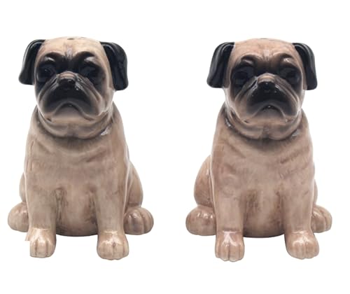 Lesser & Pavey Set Sale E Pepe Per Tutti I Tipi Di Cucina, Set Sale E Pepe In Ceramica, Grazioso Set Per Sale E Pepe, Adatto Per La Casa (Carlina)