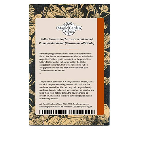 Taràssaco/Cicoria Selvatica (Taraxacum Officinale) - Circa 500 Semi