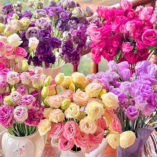 300 Pezzi Samen Eustoma, Eustoma Grandiflorum Samen, Mischung Eustoma Samen, Bunt Eustoma Samen, Geeignet Zum Pflanzen In Garten Und Balkon