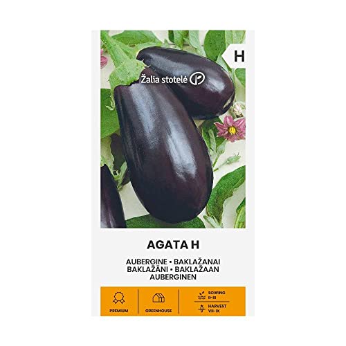 Zalia Stotele | Semi Di Melanzana Agata H | Semi Di Ortaggi | Semi Di Piante | Semi Melanzana | Semi Da Giardino | 1 Pacchetto