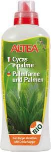 Sconosciuto Altea Cycas E Palme 1000G