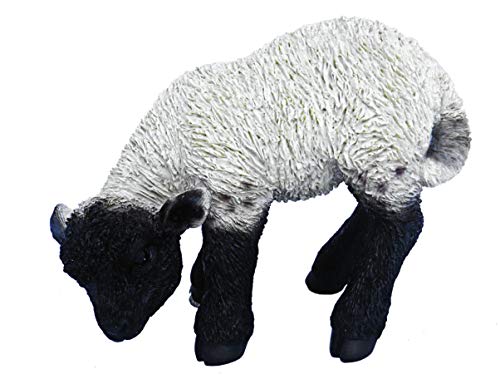 Real Life Vivid Arts Black/Agnello Resina Bianca Ornamento
