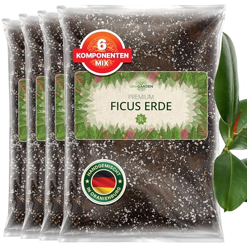 Oragarden (Ficus Terra, 12L)