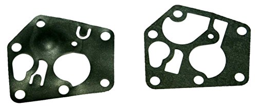 Briggs And Stratton 350095 Serie Membrane, Multicolore