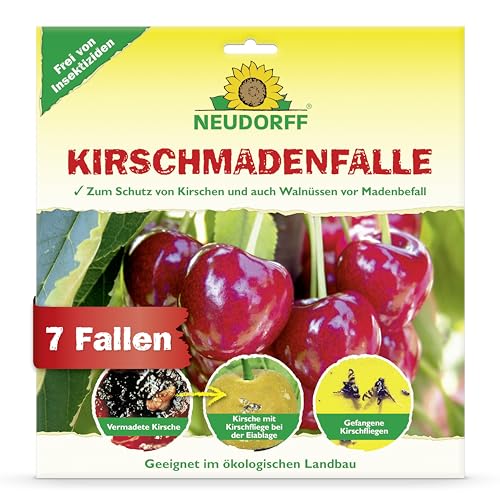 Neudorff Trappola Per Ciliegie – Protegge Le Ciliegie E Le Noci Da Infestazioni, Trappole Per Colla Senza Insetticidi, 7 Pezzi