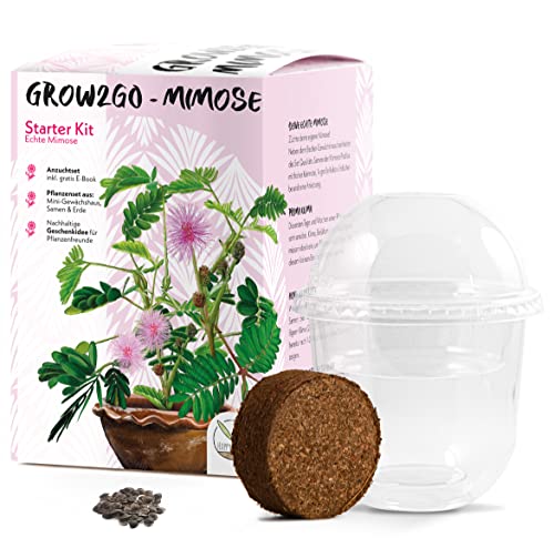 Grow2Go Mimosa Pudica Starter Kit - Mini-Serra, Semi Di Mimosa E Set Per La Semina In Terra - Idea Regalo Sostenibile Per Gli Amanti Delle Piante