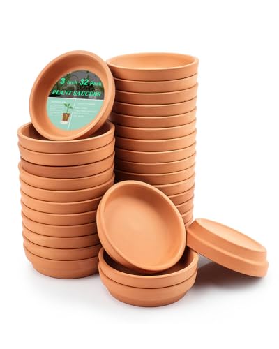 Piccolo Piattino Per Piante In Terracotta, 32 Mini Piattini Rotondi, Piccoli Vassoi Per Piante In Argilla, Perfetti Per Piante Da 5,1 Cm, 6,3 Cm, 7,6