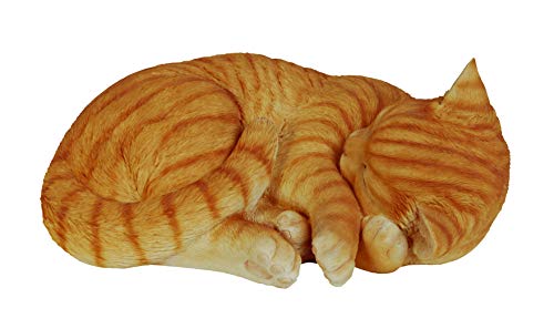 Vivid Arts Zenzero Gatto Addormentato, Formato B