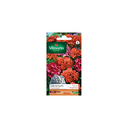 Vilmorin - Semi Geranio Cricket Multi