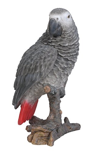 Vivid Arts Xrl-Afgp-D Pappagallo Africano Resina Ornamento - Grigio