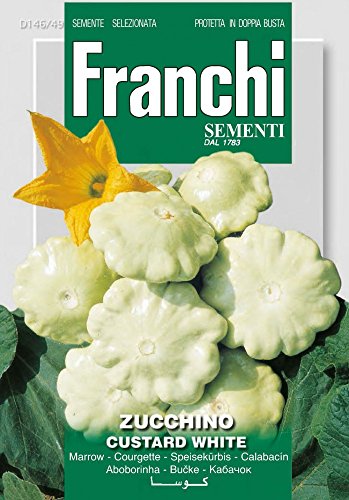 Semi Zucchino Custard White Doppia Busta Franchi Sementi