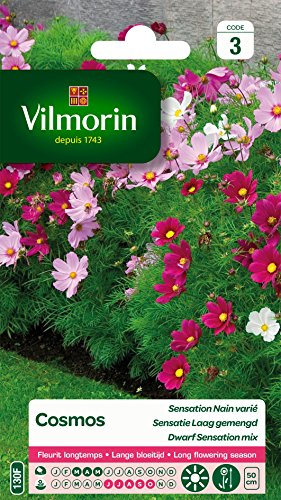 Vilmorin 5247543 Confezione Di Semi Cosmos Dwarf Sensation Varied