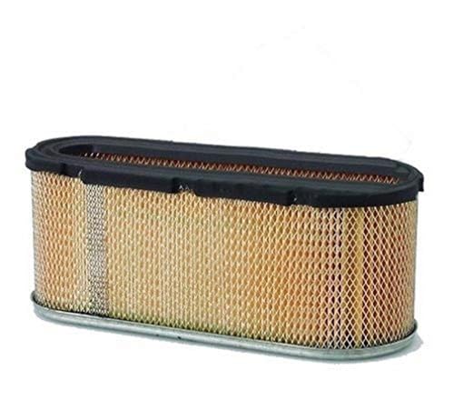Briggs And Stratton Cartuccia Filtro Dell’Aria Originale 496894S