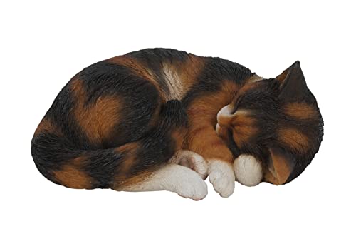Vivid Arts - Gatto In Scala Al Vero, Addormentato, Stile Tartarugato