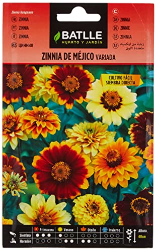 Semillas Batlle Zinnia Del Messico Variegata