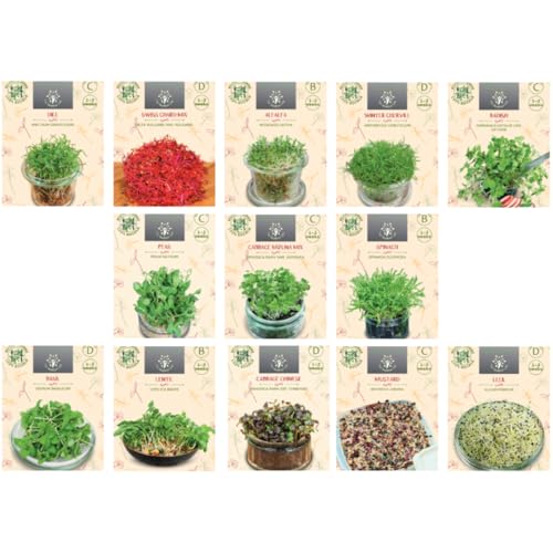 Nojus - Set Di Semi Di Verdure Microgreen - 13 Varietà Per Giardinaggio Indoor, Ravanello, Porri E Altro - Facile Da Coltivare
