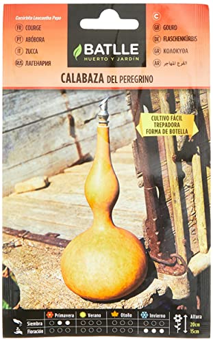Semillas Batlle Pellegrino Zucca
