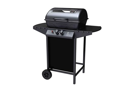 Garden Friend Barbecue A Gas A Due Fuochi John