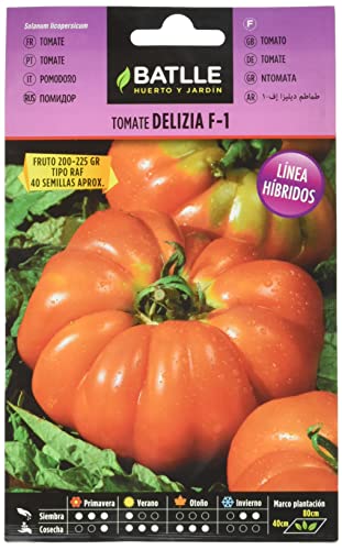 Semi Batlle – Pomodori F-1