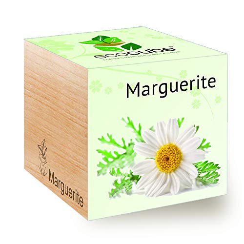 Feelgreen - Ecocube, Idea Regalo (100% Ecologica), Kit Per Far Crescere La Propria Pianta, Piante In Cubi Di Legno Da7,5 Cm, Prodotto In Austria