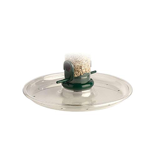 Jacobi Jayne Rpt-1 Vassoio Ad Anello, Trasparente, 270,0 Mm*30,0 Mm*270,0 Mm