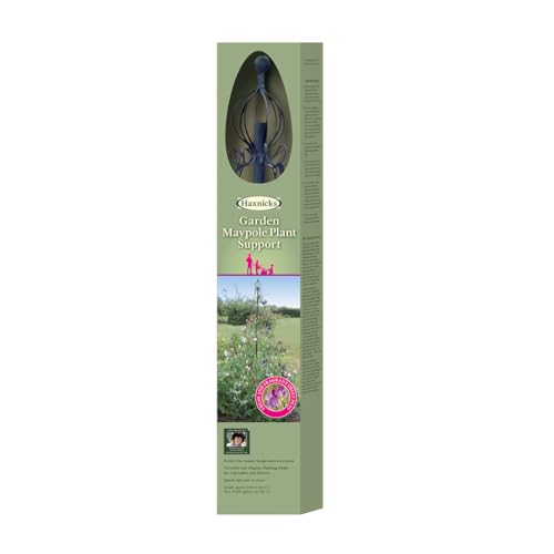 Haxnicks Frame010101 - Maypole Da Giardino, 100 X 100 X 190 Cm, Colore: Nero