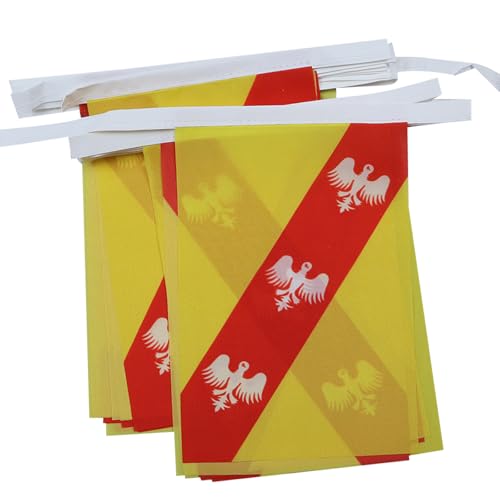 Az Flag Ghirlanda 6 Metri 20 Bandiere Lorena 21X15Cm, Bandiera Lorraine In Francia 15 X 21 Cm - Festone Bandierine