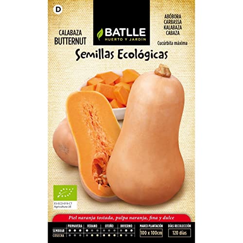 Semi Bio - Butternut Di Zucca (8-20 Semi - Biologico)