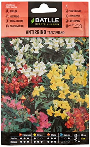 Semillas Batlle Antirino Nano Tapiz